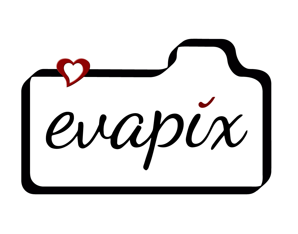 Evapix logo fekete 2